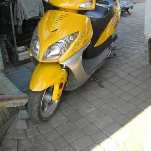 продаю скутер tirrex