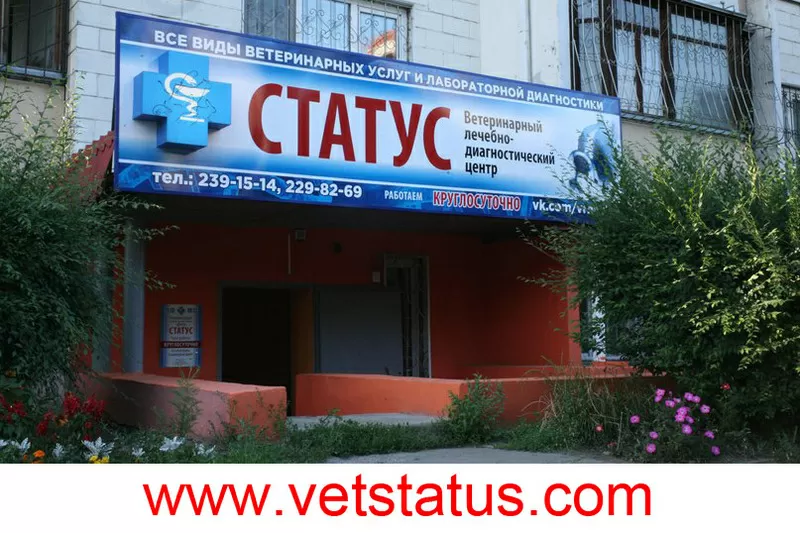 Ветеринарная клиника СТАТУС Воронеж